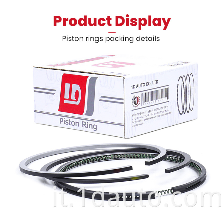 Piston Rings 12033-J6500